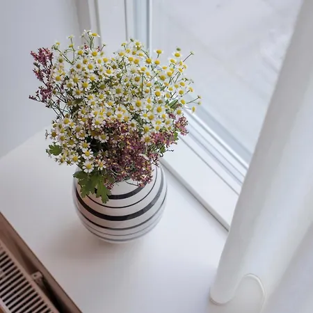 Studio1a מלון דירות